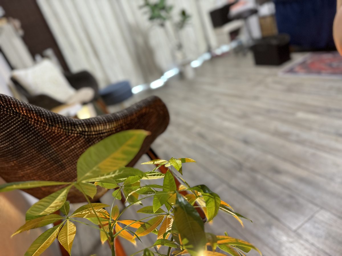 寄宮シェアサロンの店内