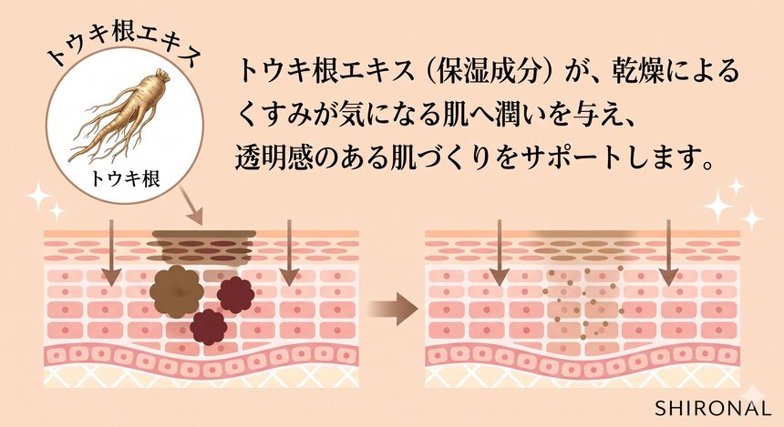 トウキ根エキスの成分イメージ図 シロナルエッセンス プレミアム配合成分